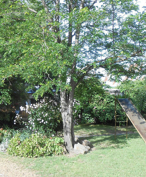 Self Contained Accommodation - Tinakori Animal Farm