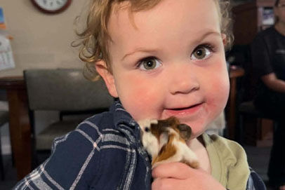 Tinakori Animal Farm Clunes