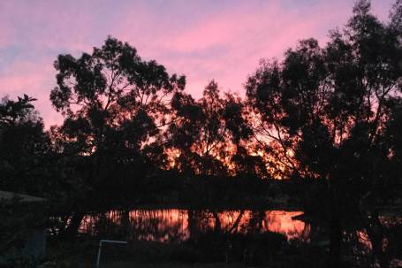 Sunset - Tinakori Animal Farm Clunes